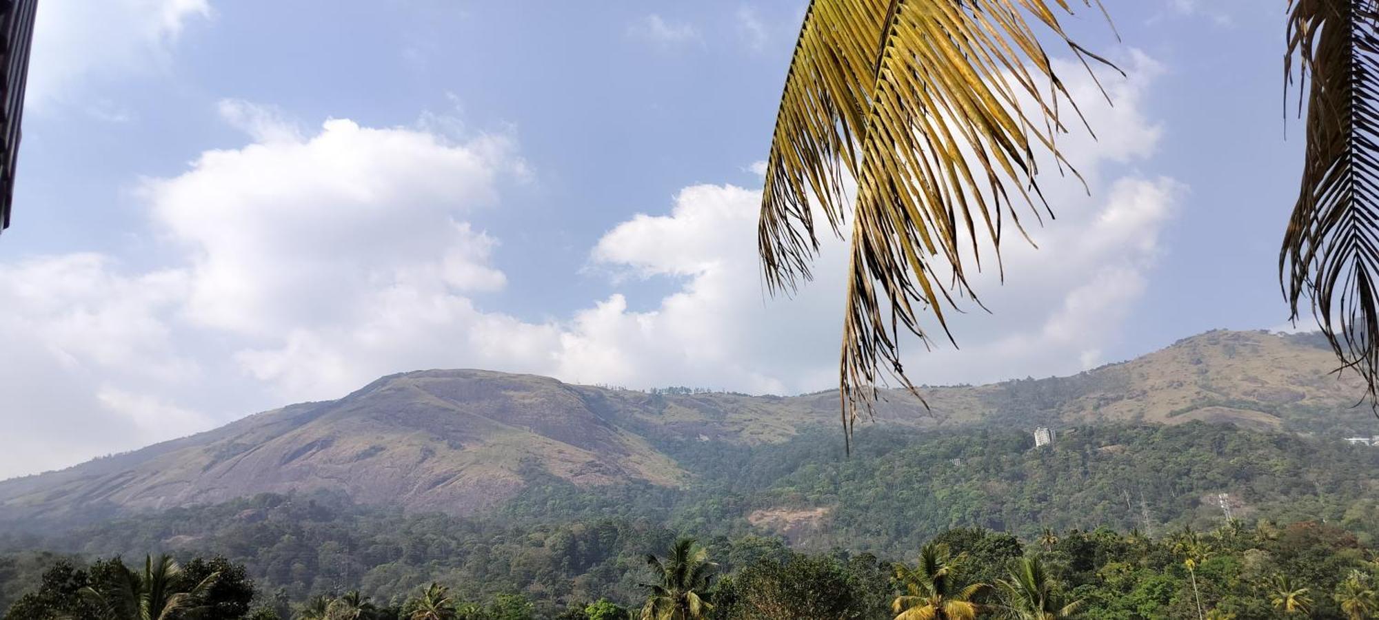 Himadri Munnar Holidays Экстерьер фото