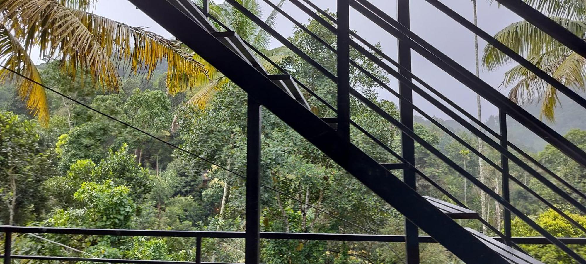 Himadri Munnar Holidays Экстерьер фото