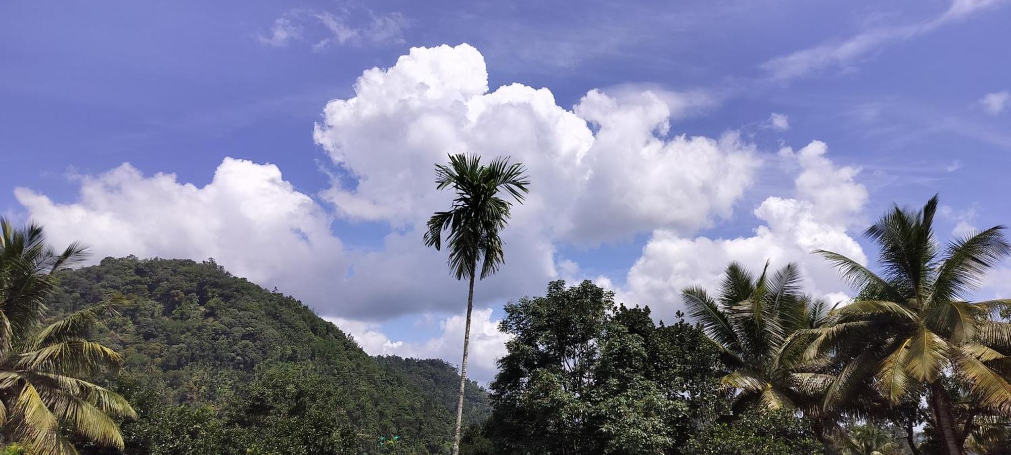 Himadri Munnar Holidays Экстерьер фото